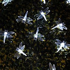 50 White LED Dragonfly Battery Operated Fairy Lights with Timer