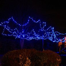 100 LED Blue Fairy String Lights on Green Cable, 10 Metre