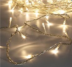 40L Warm White LED string lights