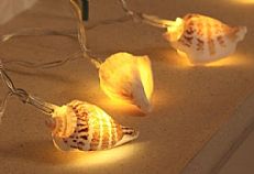 Sea Shell Battery Fairy Lights, 10 Warm White LED