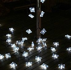 Solar Butterfly Fairy Lights with Timer, White LED, 5m