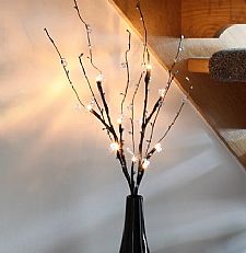 Battery Twig Lights with Vase and Timer, 60cm