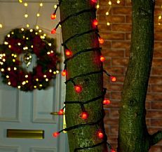 50 LED Red Berry Fairy String Lights on Dark Green Cable, 5 Metre