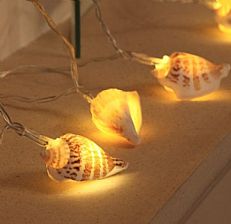 Sea Shell Battery Fairy Lights, 10 Warm White LED