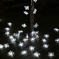 50 White LED Butterfly Battery Operated Fairy Lights with Timer